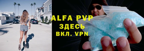 гидра Белокуриха