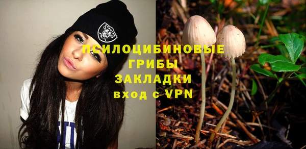 jwh Богородицк