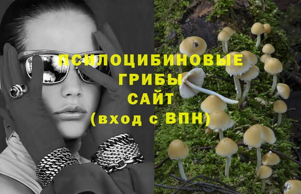 гидра Белокуриха