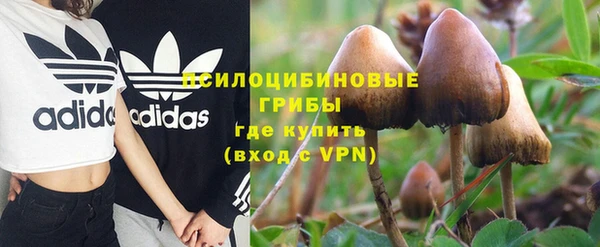 jwh Богородицк