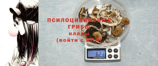 гидра Белокуриха