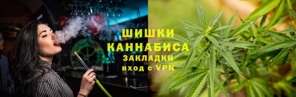 гидра Белокуриха